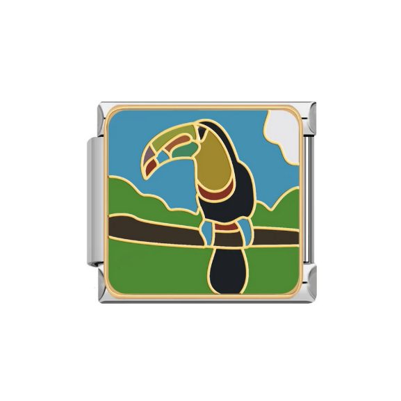 Toucan