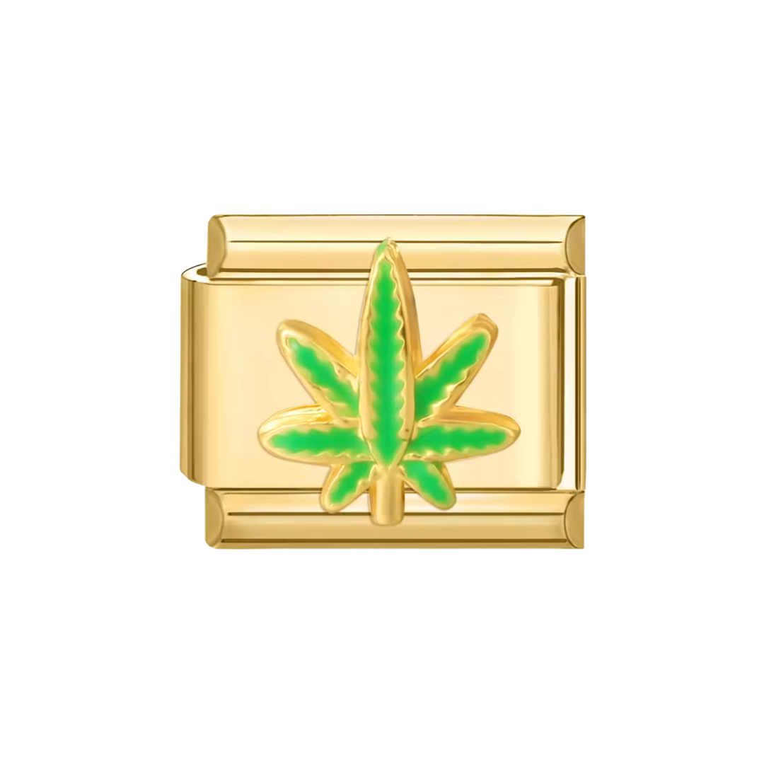 🍃🍃