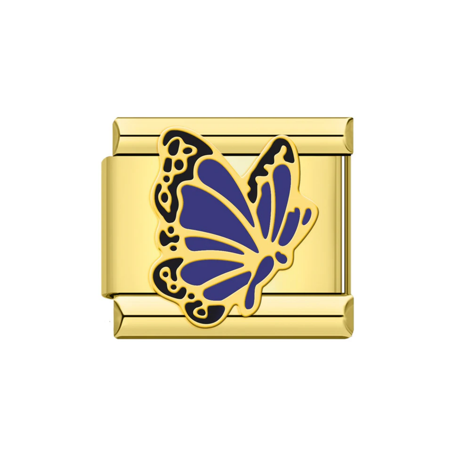 Blue Butterfly