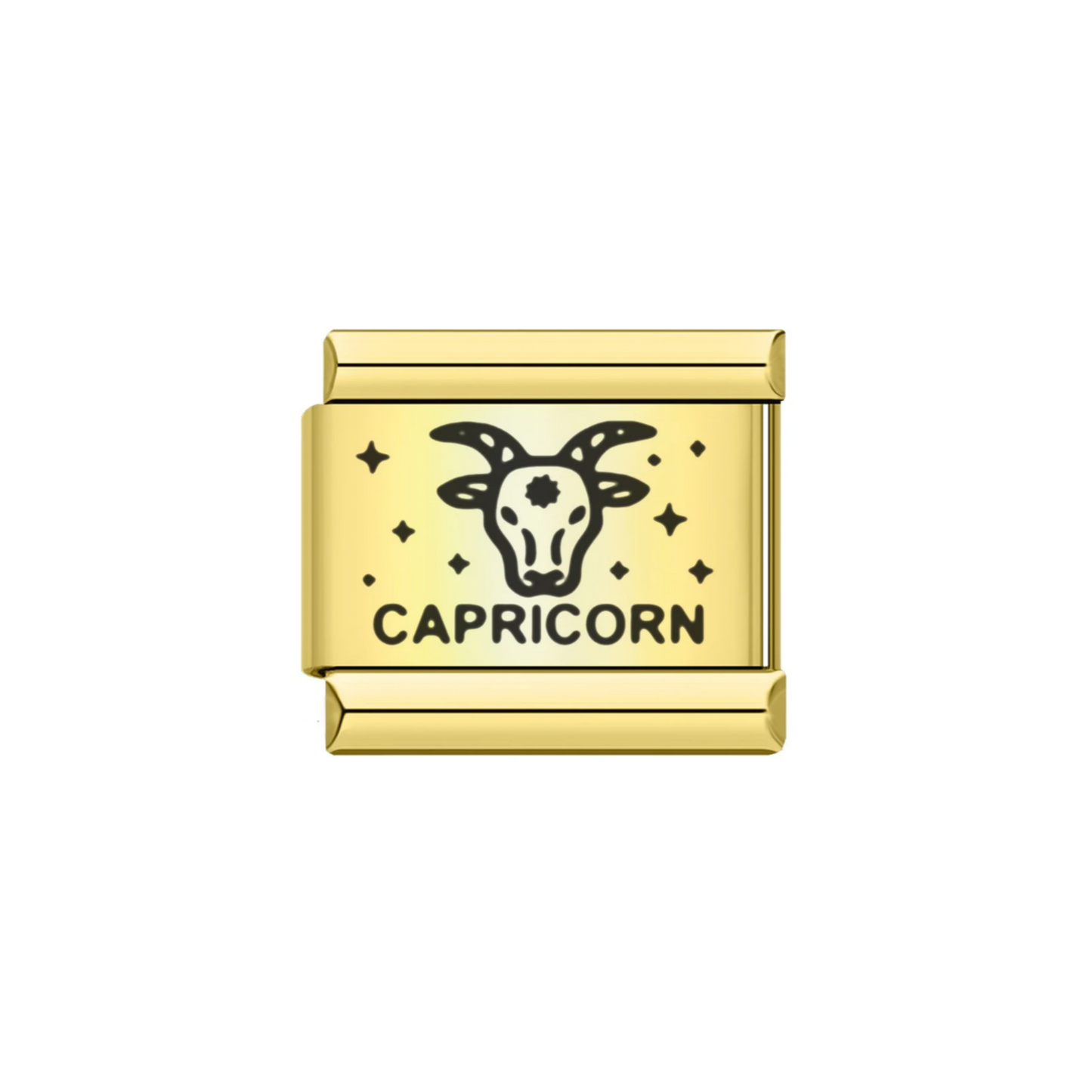 Capricorn Star Sign