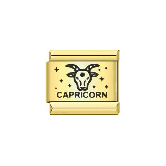Capricorn Star Sign