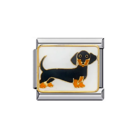 Sausage Dog