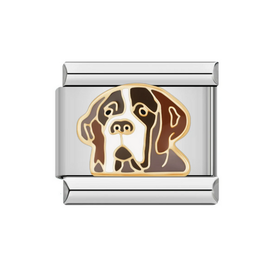 Saint Bernard