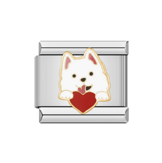 Samoyed