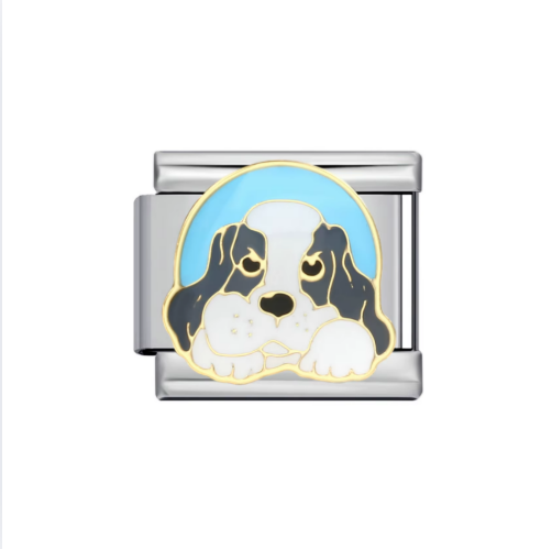 Shy Puppy