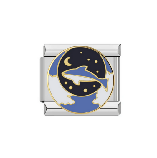 Whale in Space