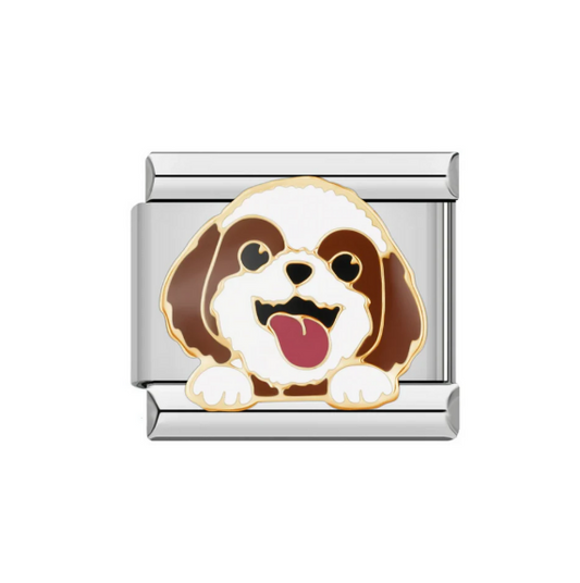 Spaniel