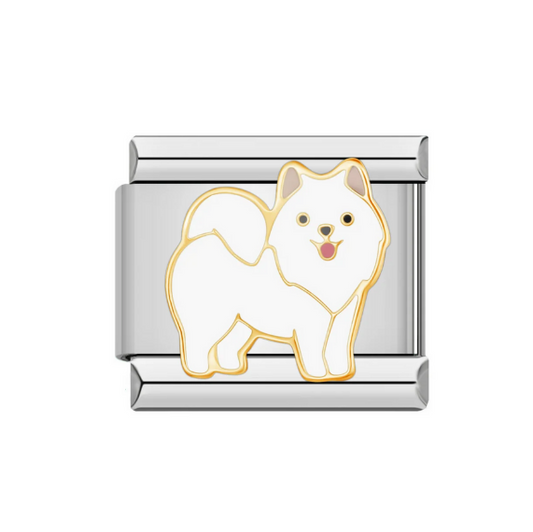 American Eskimo