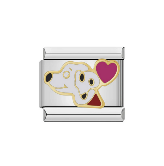Dalmation