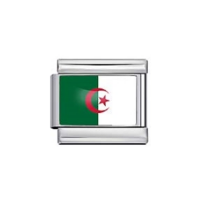 Algeria Flag