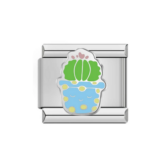 Cacti