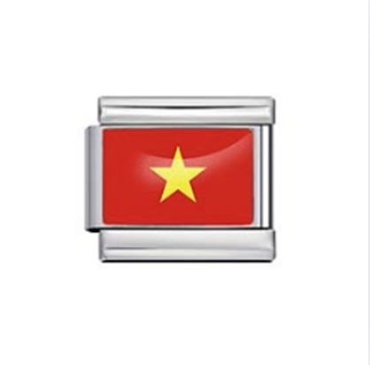 Vietnam Flag