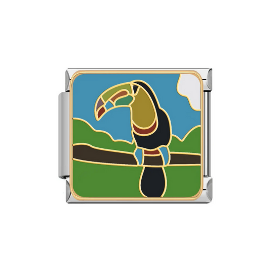 Toucan