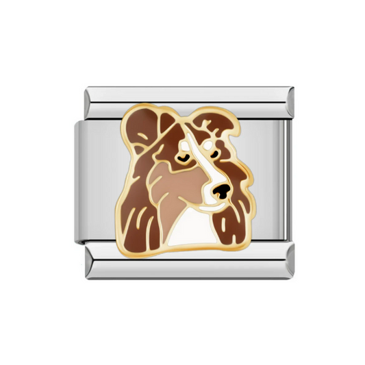 Rough Collie