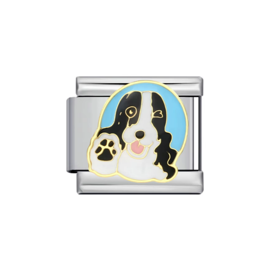 Basset Hound