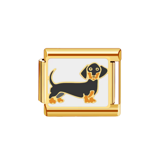 Sausage Dog