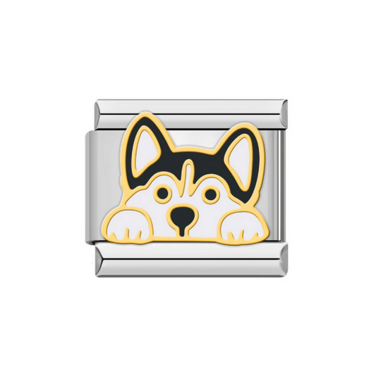 Corgi